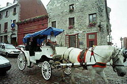 A carriage makes its way through the streets of Vieux Montreal.